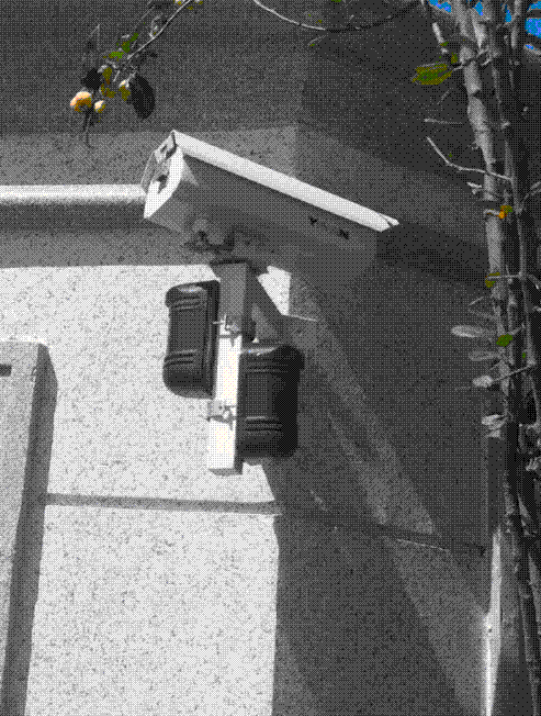 供应对射支架杆