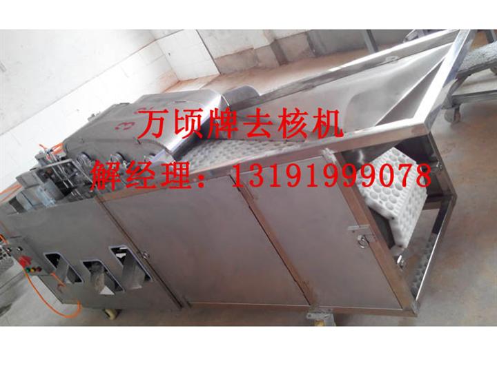 供应桂圆去核机桂圆切片机