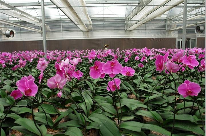 供应广西桂林屋顶全开启连栋温室,屋顶全开启连栋温室大棚