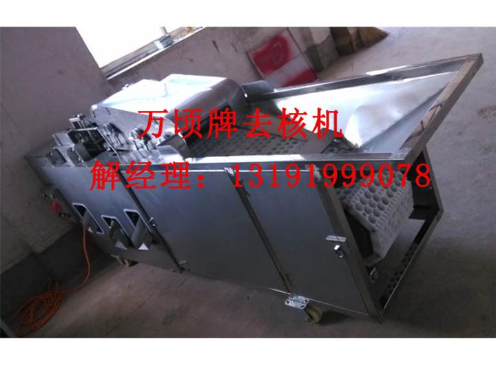 供应南果梨深加工设备