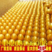 供应昆明螺蛳湾金蛋厂 云南金蛋供应商